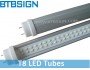 60cm 8W T8 LED Tube Light
